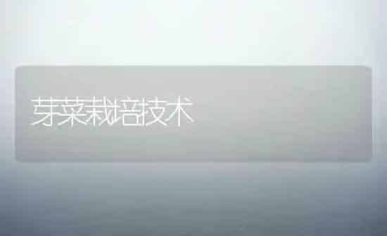 芽菜栽培技术 | 蔬菜种植