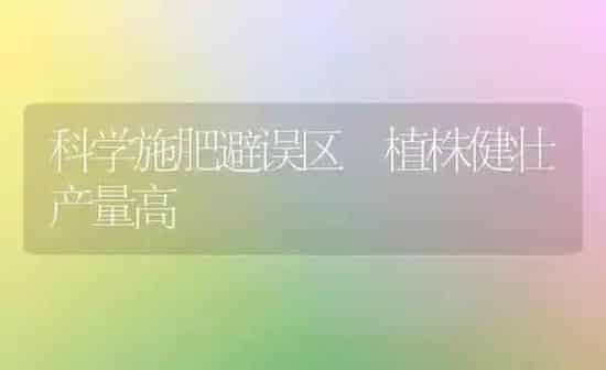 科学施肥避误区 植株健壮产量高 | 种植肥料施肥