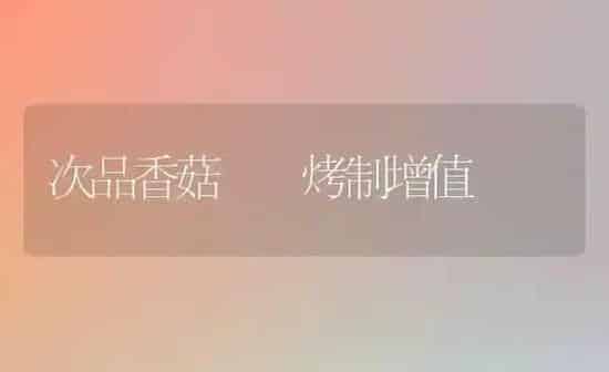 次品香菇  烤制增值 | 食用菌种植