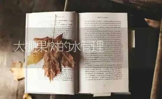 大棚果树的水管理 | 瓜果种植