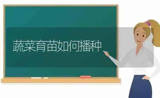 蔬菜育苗如何播种 | 蔬菜种植