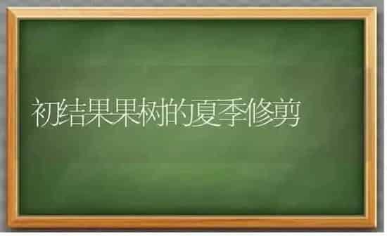 初结果果树的夏季修剪 | 瓜果种植