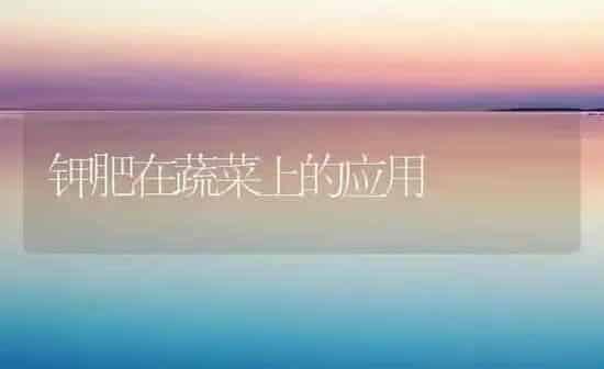 钾肥在蔬菜上的应用 | 蔬菜种植