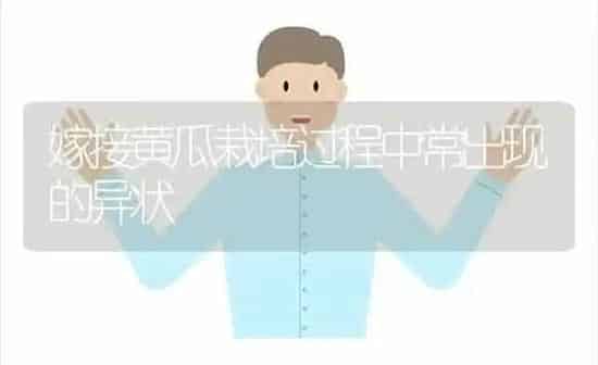 嫁接黄瓜栽培过程中常出现的异状 | 蔬菜种植