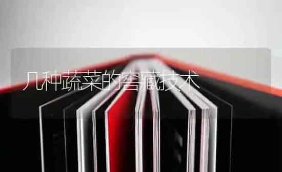 几种蔬菜的窖藏技术 | 蔬菜种植