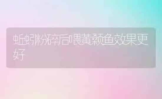 蚯蚓粉碎后喂黄颡鱼效果更好 | 瓜果种植