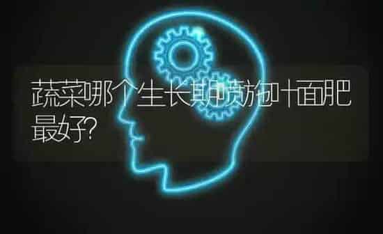 蔬菜哪个生长期喷施叶面肥最好？ | 蔬菜种植