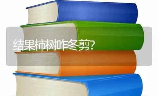 结果柿树咋冬剪？ | 瓜果种植