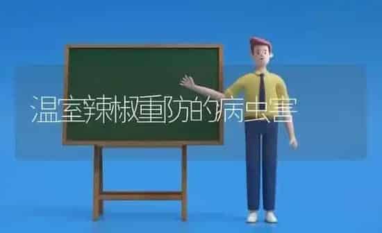 温室辣椒重防的病虫害 | 种植病虫害防治