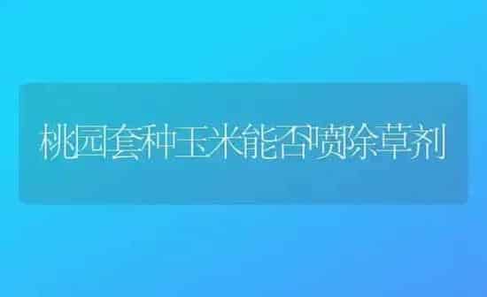 桃园套种玉米能否喷除草剂 | 粮油作物种植