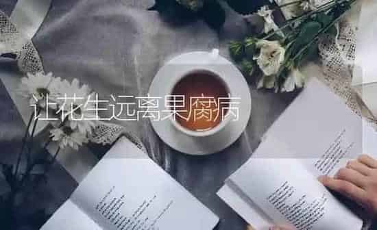 无籽西瓜新品种“暑宝”的引进及高产栽培技术 | 瓜果种植