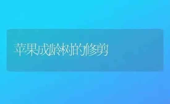 苹果成龄树的修剪 | 瓜果种植