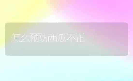 怎么预防西瓜不正 | 瓜果种植