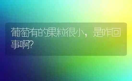 葡萄有的果粒很小，是咋回事啊？ | 瓜果种植