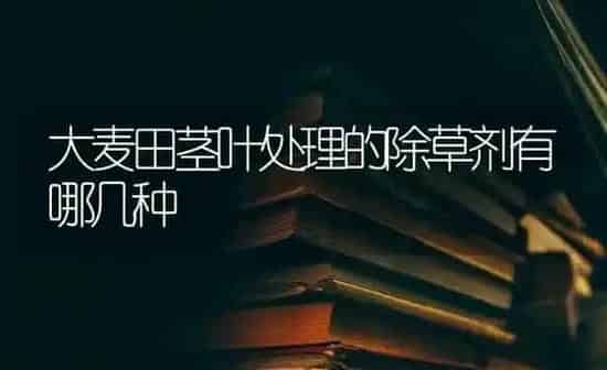 大麦田茎叶处理的除草剂有哪几种 | 粮油作物种植
