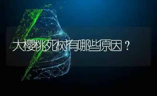 大樱桃死树有哪些原因？ | 瓜果种植