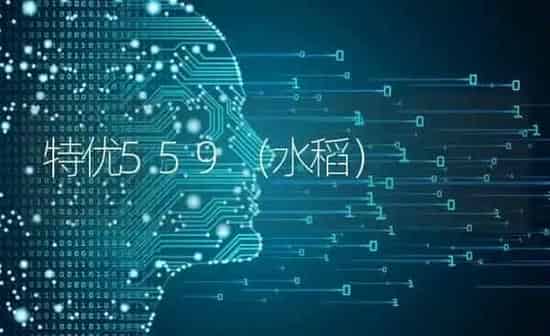 特优559（水稻） | 粮油作物种植