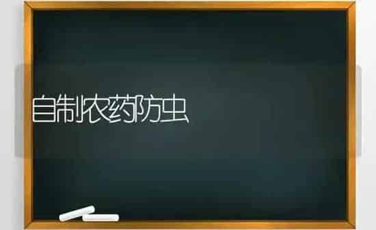 自制农药防虫 | 种植病虫害防治