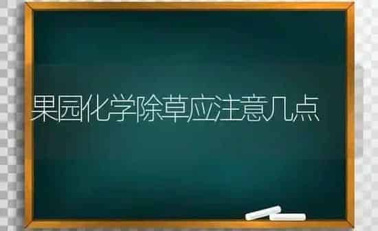 果园化学除草应注意几点 | 瓜果种植
