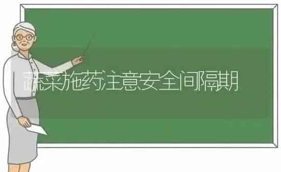 蔬菜施药注意安全间隔期 | 蔬菜种植