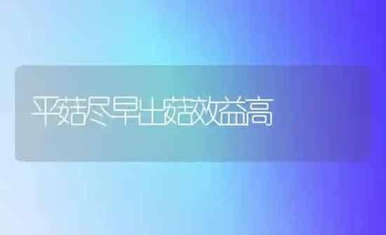 平菇尽早出菇效益高 | 食用菌种植