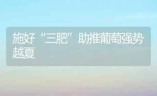 施好“三肥”助推葡萄强势越夏 | 瓜果种植