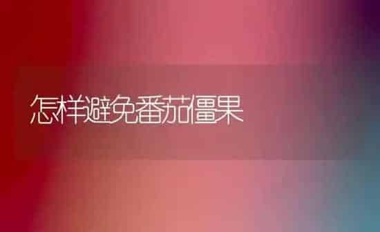 怎样避免番茄僵果 | 瓜果种植