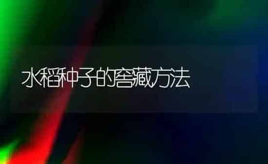 水稻种子的窖藏方法 | 粮油作物种植