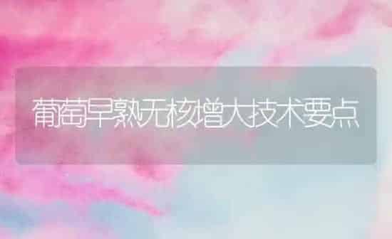 葡萄早熟无核增大技术要点 | 瓜果种植