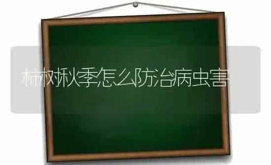 柿树秋季怎么防治病虫害 | 种植病虫害防治