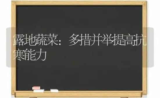 露地蔬菜：多措并举提高抗寒能力 | 蔬菜种植