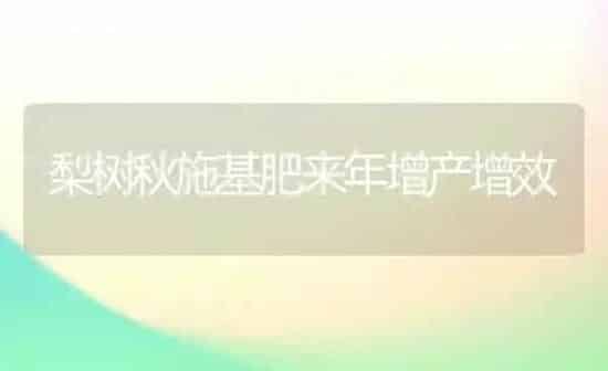 梨树秋施基肥来年增产增效 | 瓜果种植