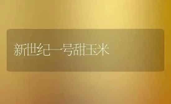 新世纪一号甜玉米 | 粮油作物种植