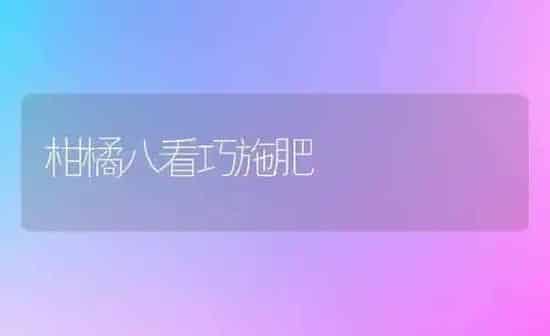 柑橘八看巧施肥 | 种植肥料施肥