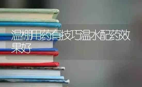 温棚用药有技巧温水配药效果好 | 瓜果种植
