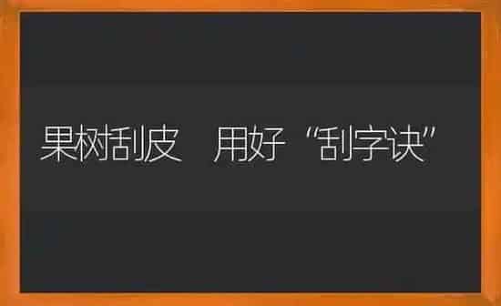 果树刮皮 用好“刮字诀” | 瓜果种植
