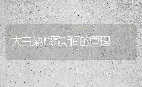 大白菜贮藏期间的管理 | 蔬菜种植