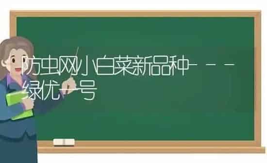 防虫网小白菜新品种---绿优一号 | 蔬菜种植
