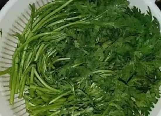 果实保存|茼蒿可以冷冻保存吗