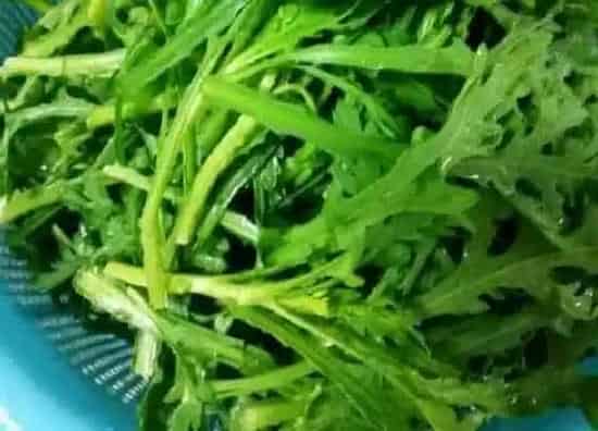 果实保存|茼蒿可以冷冻保存吗