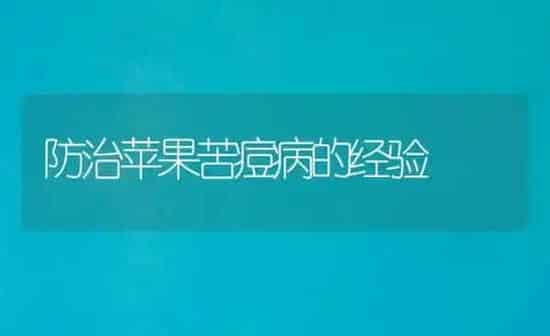 防治苹果苦痘病的经验 | 瓜果种植