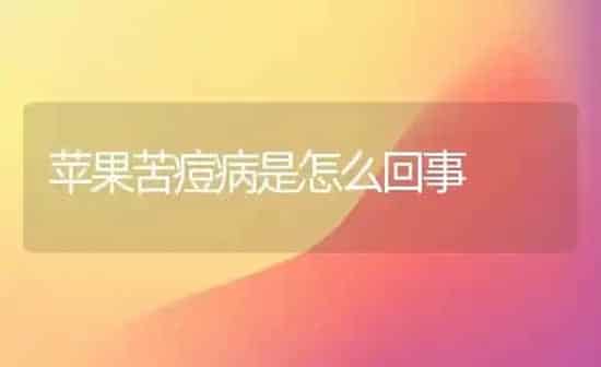 苹果苦痘病是怎么回事 | 瓜果种植