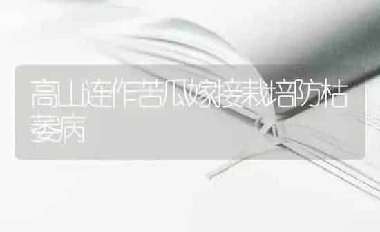 高山连作苦瓜嫁接栽培防枯萎病 | 蔬菜种植