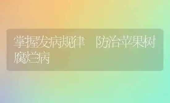 掌握发病规律 防治苹果树腐烂病 | 瓜果种植