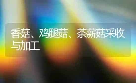 香菇、鸡腿菇、茶薪菇采收与加工 | 食用菌种植