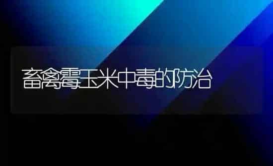 畜禽霉玉米中毒的防治 | 粮油作物种植
