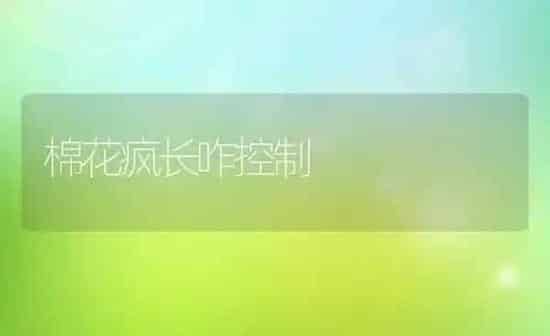 棉花疯长咋控制 | 粮油作物种植