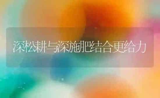 深松耕与深施肥结合更给力 | 种植肥料施肥