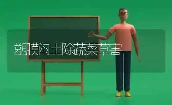 塑膜闷土除蔬菜草害 | 蔬菜种植
