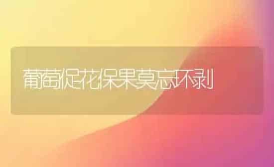 葡萄促花保果莫忘环剥 | 瓜果种植